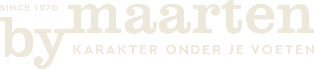 Logo website